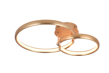 Ceiling Lamp